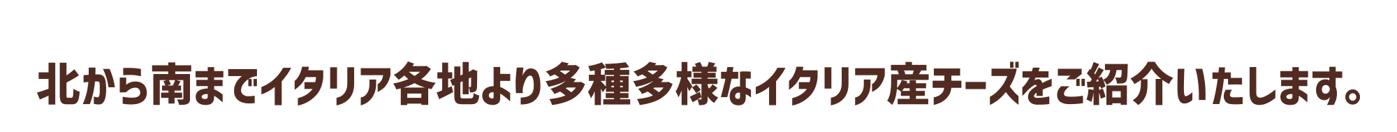 北から南までイタリア各地より多種多様なイタリア産チーズをご紹介いたします。