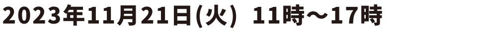 2023年11月21日 (火) 11時~17時